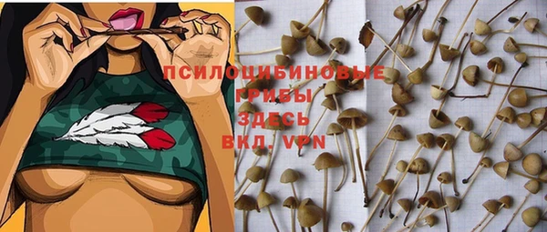 кокаин Алексин