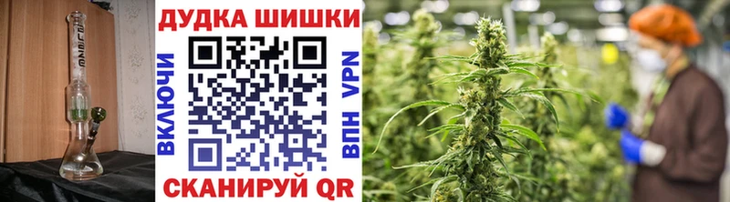 Канабис SATIVA & INDICA  Венёв 